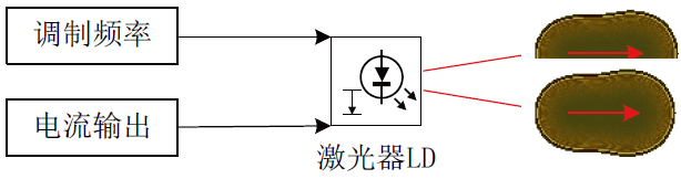 1691317493318220.png