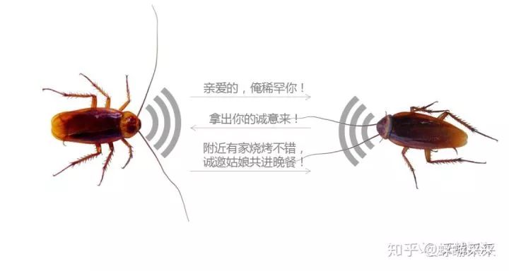 零基础学天线!看完你就是半个天线专家了!