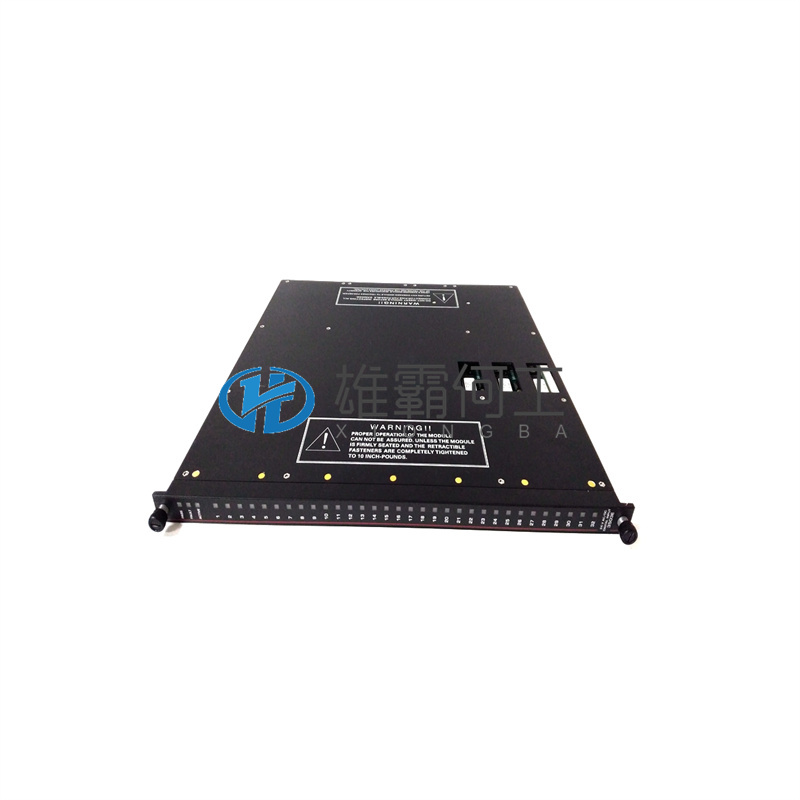TRICONEX 3624  I/O 模块