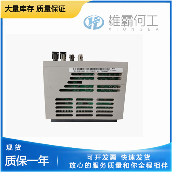 1C31181G01(2).jpg