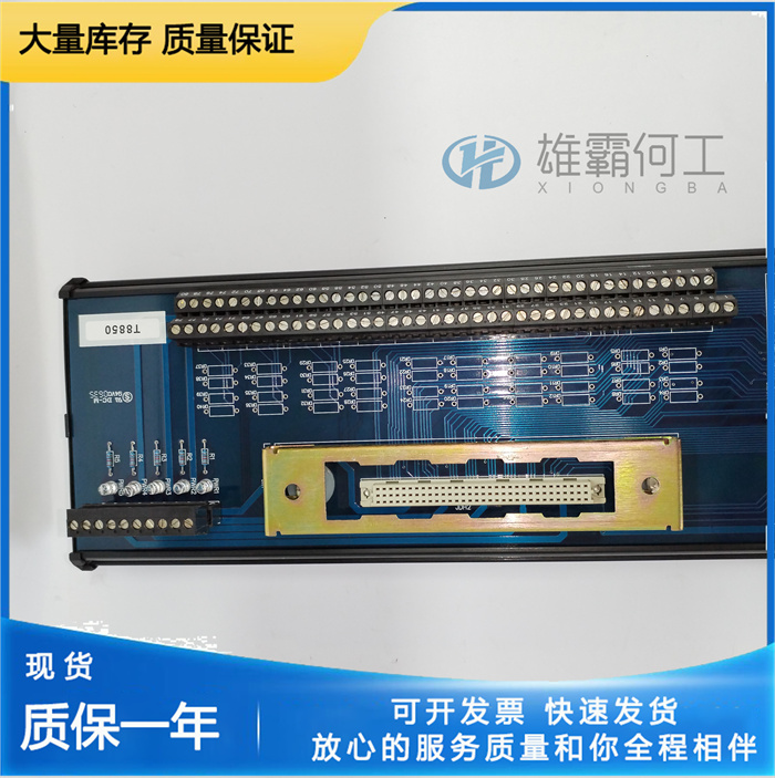 ICS Triplex T8846 SIS系统 