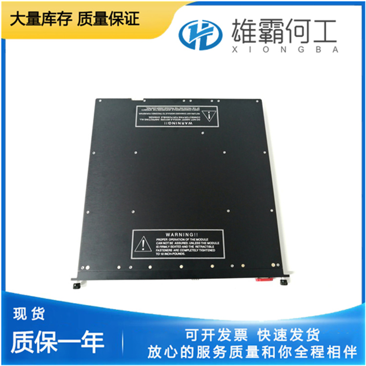 TRICONEX 3009( 4).jpg